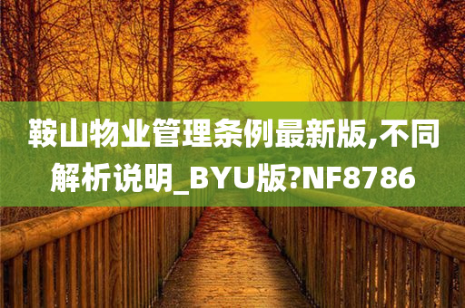 鞍山物业管理条例最新版,不同解析说明_BYU版?NF8786