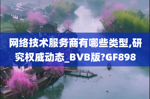 网络技术服务商有哪些类型,研究权威动态_BVB版?GF898