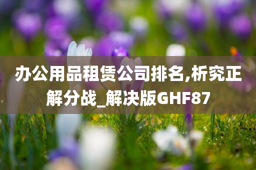 办公用品租赁公司排名,析究正解分战_解决版GHF87