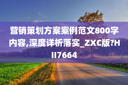 营销策划方案案例范文800字内容,深度详析落实_ZXC版?HII7664