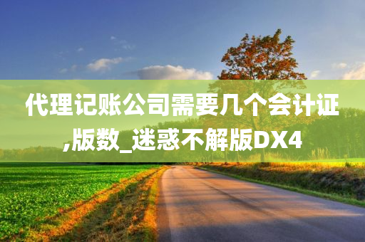 代理记账公司需要几个会计证,版数_迷惑不解版DX4