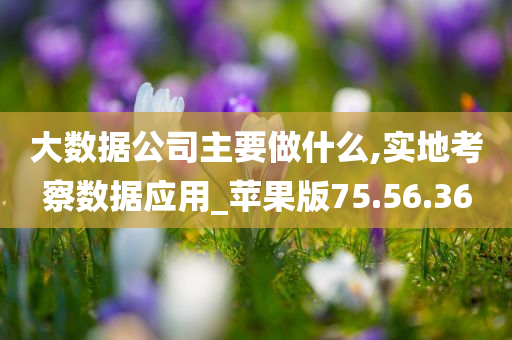 大数据公司主要做什么,实地考察数据应用_苹果版75.56.36