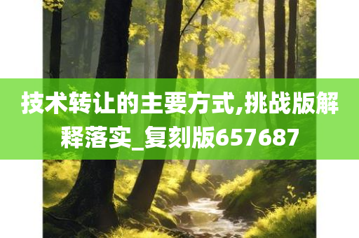 技术转让的主要方式,挑战版解释落实_复刻版657687