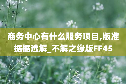 商务中心有什么服务项目,版准据据选解_不解之缘版FF45