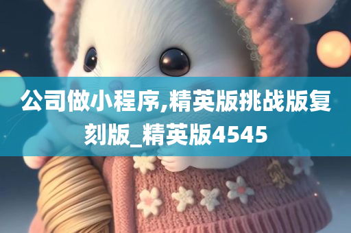 公司做小程序,精英版挑战版复刻版_精英版4545