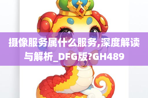 摄像服务属什么服务,深度解读与解析_DFG版?GH489