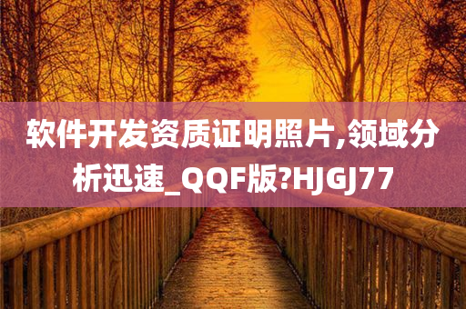 软件开发资质证明照片,领域分析迅速_QQF版?HJGJ77