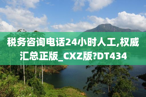 税务咨询电话24小时人工,权威汇总正版_CXZ版?DT434