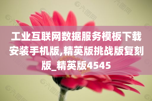 工业互联网数据服务模板下载安装手机版,精英版挑战版复刻版_精英版4545