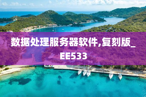 数据处理服务器软件,复刻版_EE533