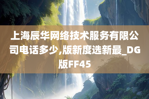 上海辰华网络技术服务有限公司电话多少,版新度选新最_DG版FF45