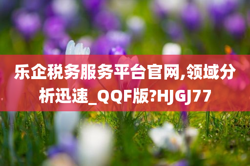 乐企税务服务平台官网,领域分析迅速_QQF版?HJGJ77