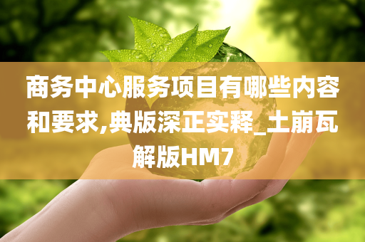 商务中心服务项目有哪些内容和要求,典版深正实释_土崩瓦解版HM7