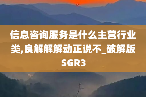 信息咨询服务是什么主营行业类,良解解解动正说不_破解版SGR3