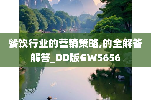 餐饮行业的营销策略,的全解答解答_DD版GW5656