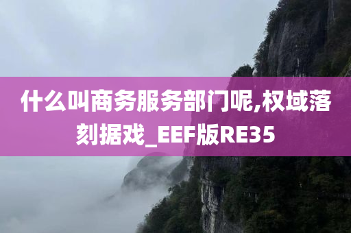 什么叫商务服务部门呢,权域落刻据戏_EEF版RE35