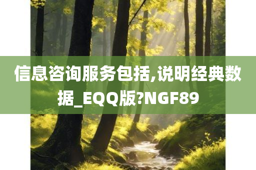 信息咨询服务包括,说明经典数据_EQQ版?NGF89