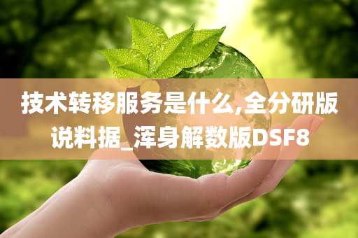 技术转移服务是什么,全分研版说料据_浑身解数版DSF8