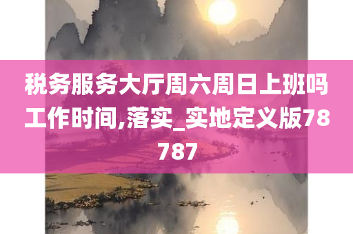 税务服务大厅周六周日上班吗工作时间,落实_实地定义版78787