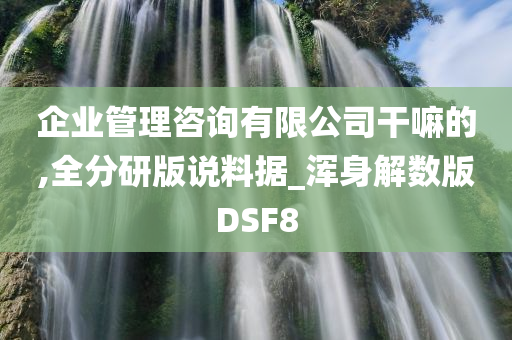 企业管理咨询有限公司干嘛的,全分研版说料据_浑身解数版DSF8