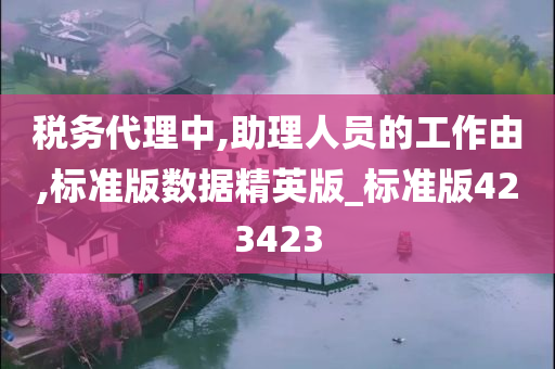 税务代理中,助理人员的工作由,标准版数据精英版_标准版423423