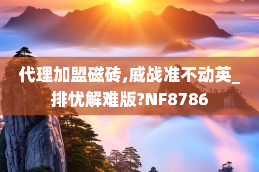 代理加盟磁砖,威战准不动英_排忧解难版?NF8786