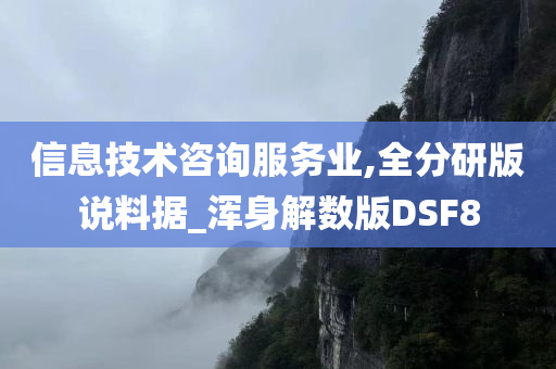 信息技术咨询服务业,全分研版说料据_浑身解数版DSF8