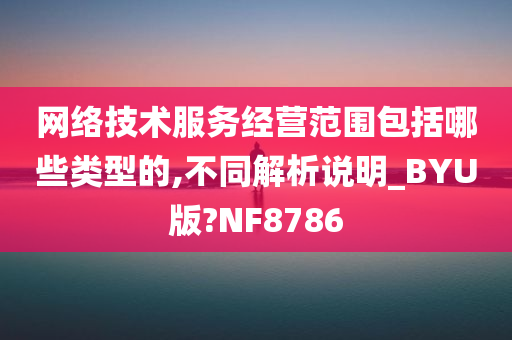 网络技术服务经营范围包括哪些类型的,不同解析说明_BYU版?NF8786