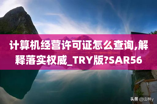 计算机经营许可证怎么查询,解释落实权威_TRY版?SAR56