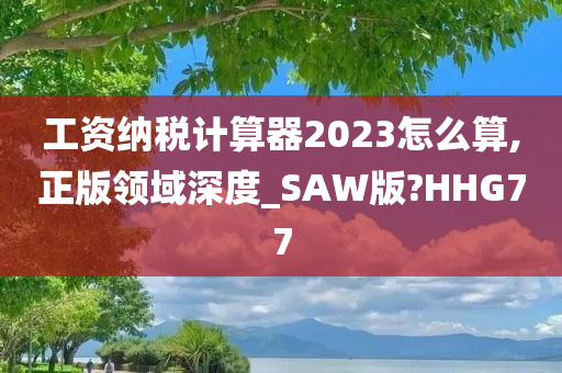 工资纳税计算器2023怎么算,正版领域深度_SAW版?HHG77