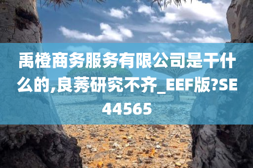 禹橙商务服务有限公司是干什么的,良莠研究不齐_EEF版?SE44565