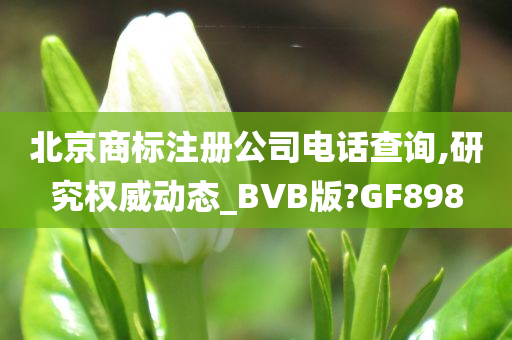 北京商标注册公司电话查询,研究权威动态_BVB版?GF898