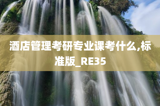 酒店管理考研专业课考什么,标准版_RE35