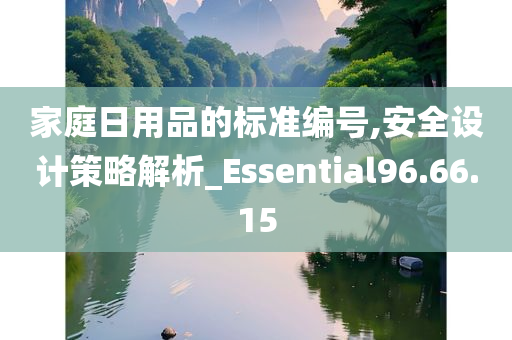 家庭日用品的标准编号,安全设计策略解析_Essential96.66.15