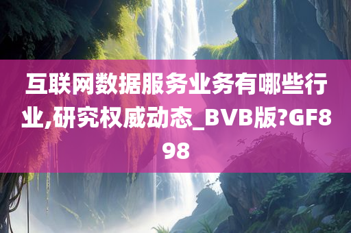 互联网数据服务业务有哪些行业,研究权威动态_BVB版?GF898