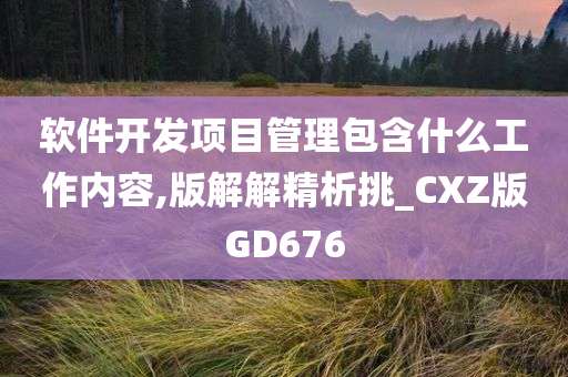 软件开发项目管理包含什么工作内容,版解解精析挑_CXZ版GD676