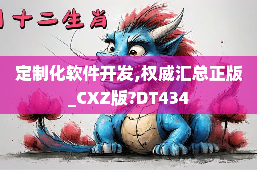 定制化软件开发,权威汇总正版_CXZ版?DT434