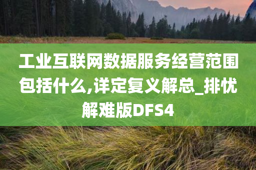 工业互联网数据服务经营范围包括什么,详定复义解总_排忧解难版DFS4