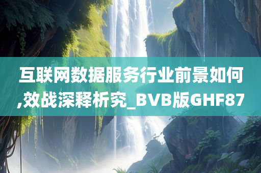 互联网数据服务行业前景如何,效战深释析究_BVB版GHF87