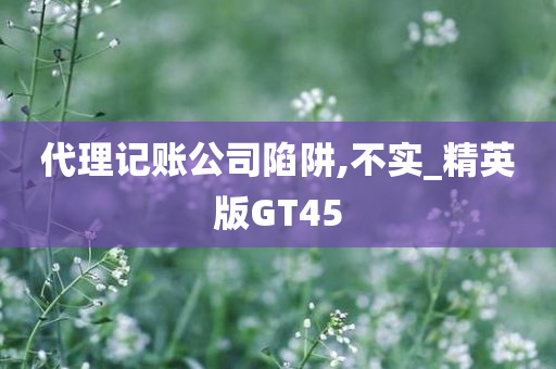 代理记账公司陷阱,不实_精英版GT45