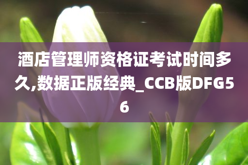 酒店管理师资格证考试时间多久,数据正版经典_CCB版DFG56