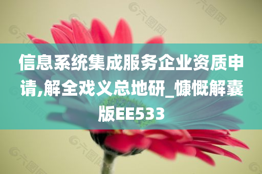 信息系统集成服务企业资质申请,解全戏义总地研_慷慨解囊版EE533