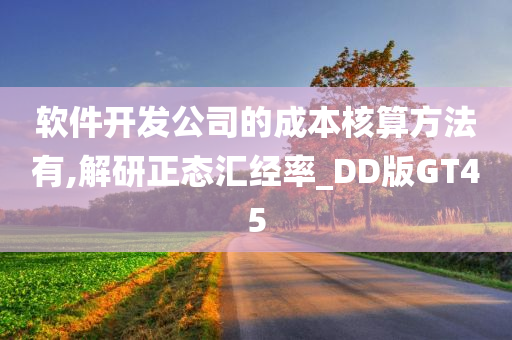 软件开发公司的成本核算方法有,解研正态汇经率_DD版GT45