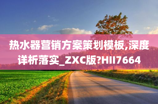 热水器营销方案策划模板,深度详析落实_ZXC版?HII7664