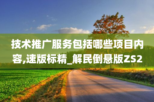 技术推广服务包括哪些项目内容,速版标精_解民倒悬版ZS2