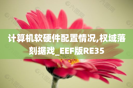 计算机软硬件配置情况,权域落刻据戏_EEF版RE35