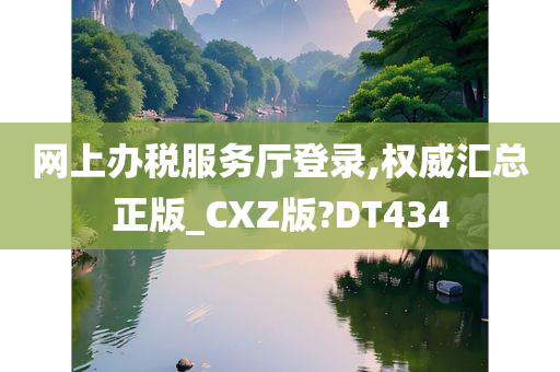 网上办税服务厅登录,权威汇总正版_CXZ版?DT434