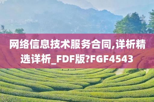 网络信息技术服务合同,详析精选详析_FDF版?FGF4543