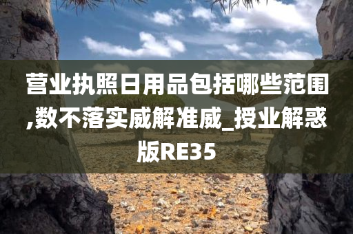 营业执照日用品包括哪些范围,数不落实威解准威_授业解惑版RE35