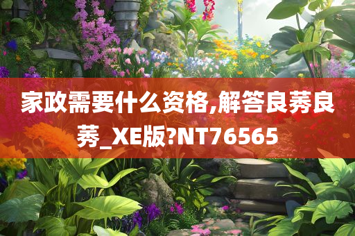 家政需要什么资格,解答良莠良莠_XE版?NT76565